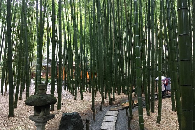 Exciting Kamakura - One Day Tour from Tokyo - Temple and shrine walkthrough: Great Buddha to Tsurugaoka Hachimangu