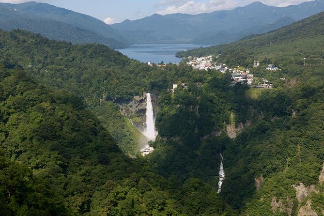 Exciting Nikko - One Day Tour from Tokyo - Stop 5: Taiyu-in Temple Niomon and Tokugawa-era context