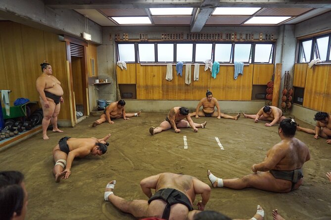 Exclusive Sumo Morning Practice in Tokyo with Photo Opportunity - Your guide and the explanations that make it click