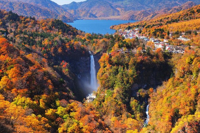 Experience Nature and Culture Private Day Tour in Nikko - Nikkō Tōshōgū Shrine: where the details do the talking