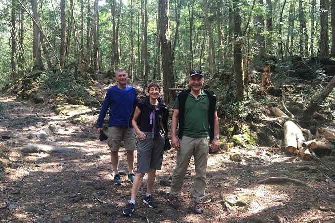 Experience the Stunning Nature of Mt.Fuji - Private Tour - Key highlights at a glance