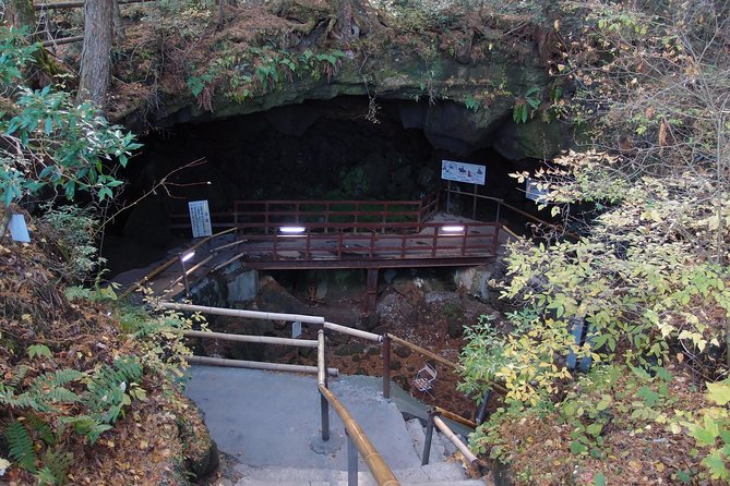 Experience the Stunning Nature of Mt.Fuji - Private Tour - Price and What You Really Get for Up to $1,248.07