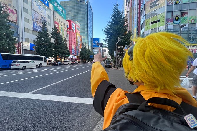 Explore Akihabara with Local Cosplayer Guide(s)! - The real advantage: what the guide adds besides stops