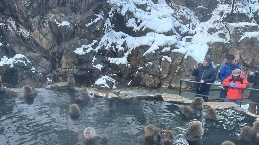 F: Tokyo:Nagano snow monkey/Zenko Ji temple private day tour - Zenko-ji Temple: A Guided Walk Through Stillness
