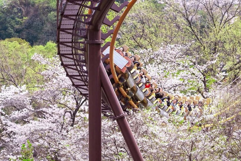 (For overseas) Tokyo: Amusement Park YOMIURILAND Ticket - Key things to know before you go
