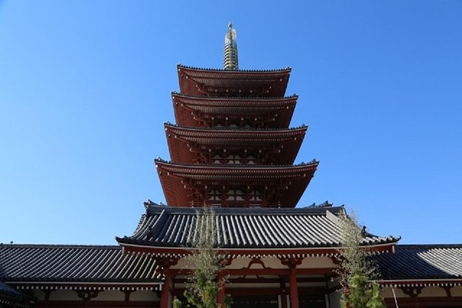 Freely set up plans Guided Private Tours in Tokyo - Shibuya Crossing and Meiji Jingu: modern chaos meets calm