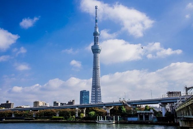 Freely set up plans Guided Private Tours in Tokyo - Owl cafés and hedgehog cafés: Tokyo after dark energy, in daylight