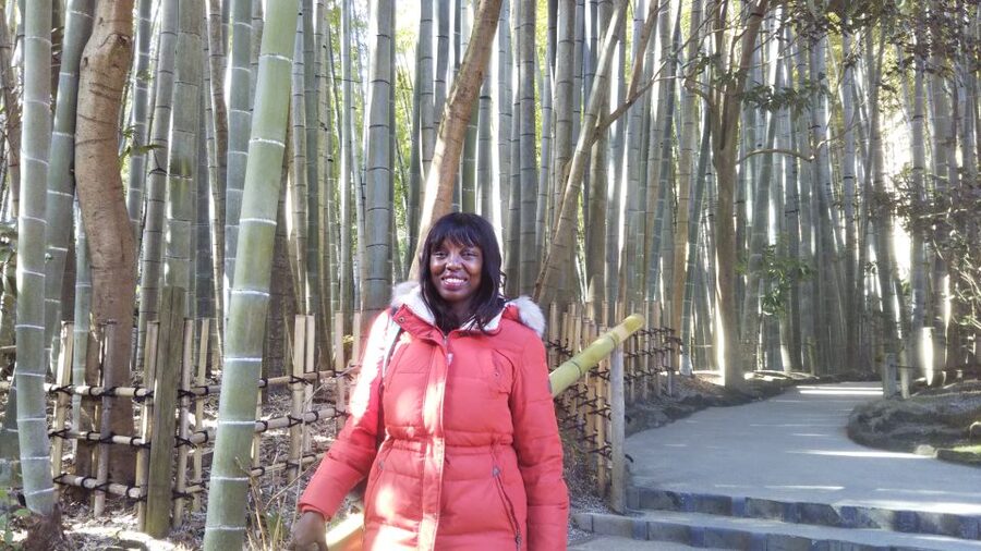 From Kamakura: Daibutsu Hiking Trail Tour with Local Guide - Who This Tour Fits Best