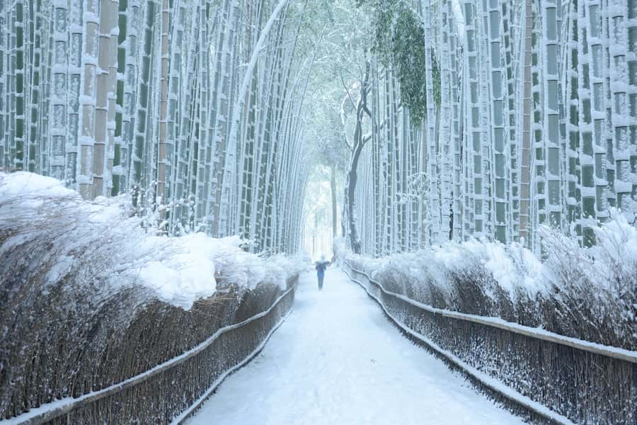 From Osaka: Kyoto & Nara Highlights Day Tour (7 attractions) - Kasugataisha Shrine: the lantern-lit pause