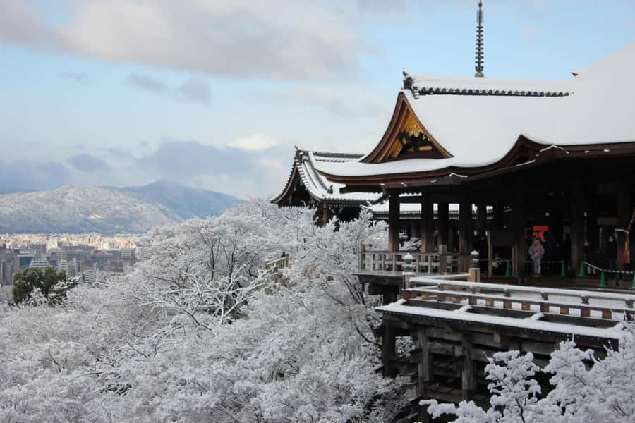 From Osaka: Kyoto & Nara Highlights Day Tour (7 attractions) - Fushimi Inari Taisha: torii tunnel walking that feels unreal