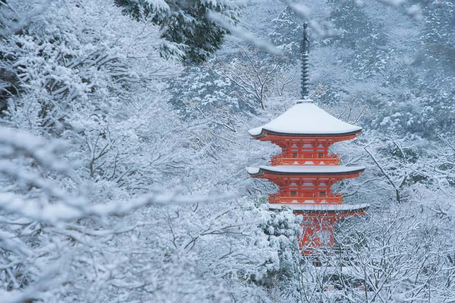 From Osaka: Kyoto & Nara Highlights Day Tour (7 attractions) - Kiyomizu-dera: the UNESCO view from the wooden stage