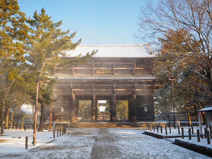 From Osaka: Kyoto & Nara Highlights Day Tour (7 attractions) - Price and value: what $53 covers, and what it doesn’t