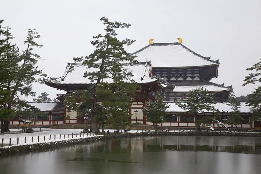 From Osaka: Kyoto & Nara Highlights Day Tour (7 attractions) - Group feel, guide support, and the photo extras