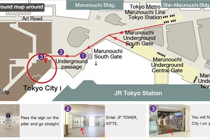From Tokyo 1-Day Kyoto English-guided Tour by Bullet Train - Guides and escorts: what you can count on (and what varies)