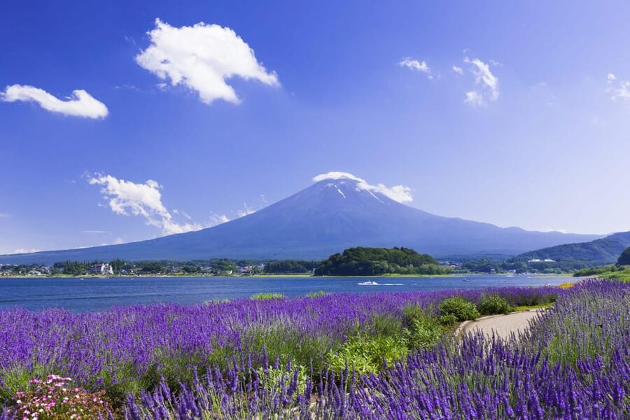 From Tokyo: Fuji Mountain Area - FujiQ - Lake Kawaguchiko - Chureito Pagoda - Key points to know before you go