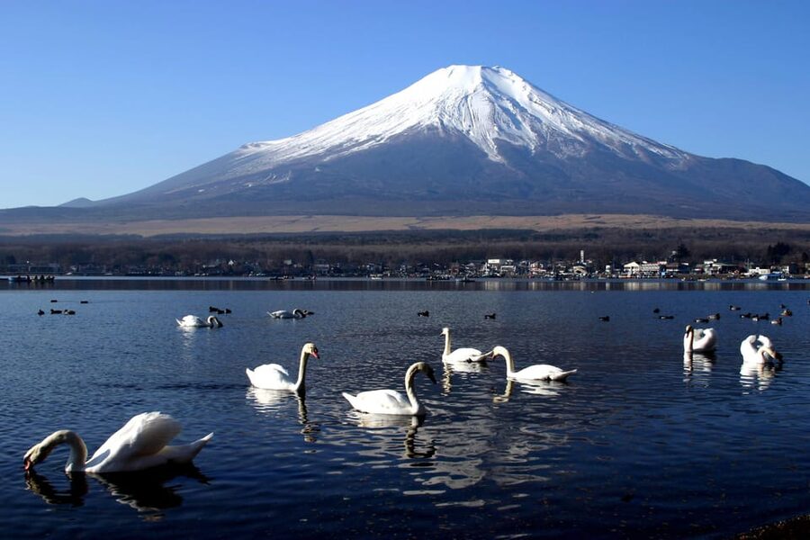 From Tokyo: Fuji Mountain Area - FujiQ - Lake Kawaguchiko - Chureito Pagoda - Fujiyoshida and the road to the pagoda: where the day starts to click