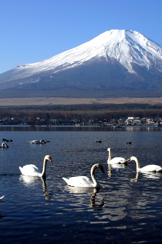 From Tokyo: Fuji Mountain Area - FujiQ - Lake Kawaguchiko - Chureito Pagoda - Chureito Pagoda at sunset: the panoramic payoff