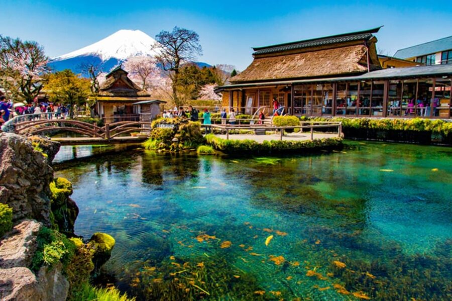 From Tokyo: Fuji Mountain Area - FujiQ - Lake Kawaguchiko - Chureito Pagoda - Oishi Park: the framed Fuji photo you’ll stop thinking about