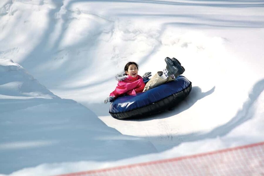 From Tokyo: Fujiyama Snow Resort Yeti Winter Ski Day Tour - Fujiyama Snow Resort Yeti: What Your Five Hours on Snow Actually Includes