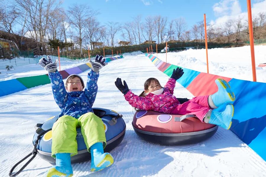 From Tokyo: Fujiyama Snow Resort Yeti Winter Ski Day Tour - Should You Book This Fujiyama Snow Resort Yeti Day Tour?