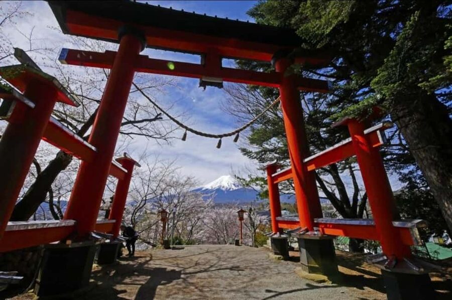 From Tokyo: Full-Day Mount Fuji Tour in English or Spanish - Chureito Pagoda: the iconic postcard shot, with actual breathing room