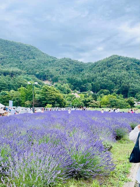 From Tokyo: Full-Day Mount Fuji Tour in English or Spanish - Arakurayama Sengen Park: the Fuji view you’ll remember