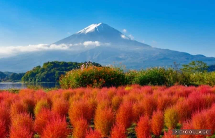 From Tokyo/Hakone/Fuji: Hakone & Mt. Fuji Day Trip w/Pickup - Key points before you go