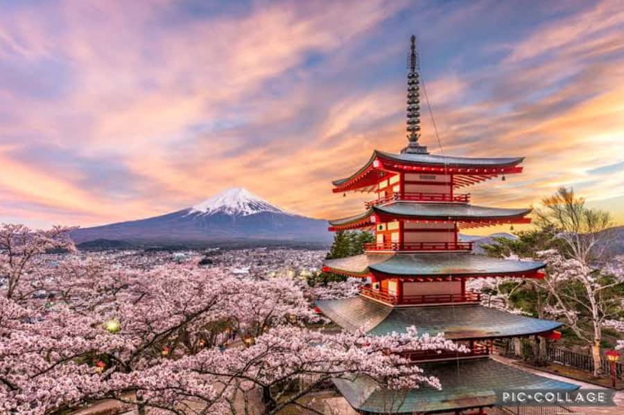 From Tokyo/Hakone/Fuji: Hakone & Mt. Fuji Day Trip w/Pickup - Private pickup from Tokyo: how the day starts (and why it matters)