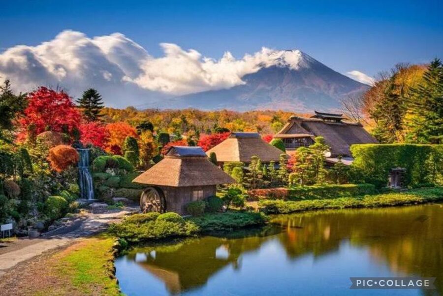From Tokyo/Hakone/Fuji: Hakone & Mt. Fuji Day Trip w/Pickup - Owakudani and the Mt. Fuji region: keeping the day from feeling too uniform