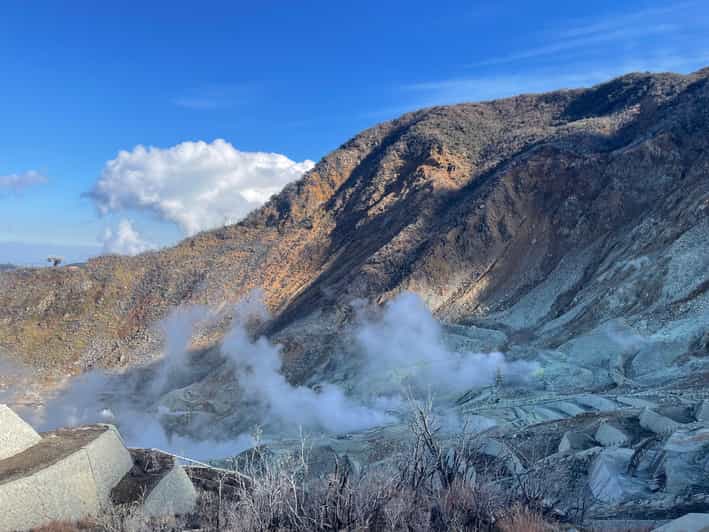 From Tokyo: Hakone Full Day Customizable Private Tour - Key things to know before you go