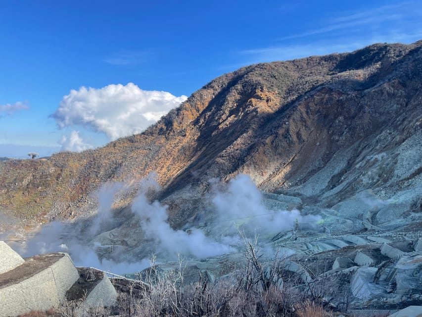 From Tokyo: Hakone Full Day Customizable Private Tour - Lake Ashi sightseeing cruise: the “reset” in the middle of the day