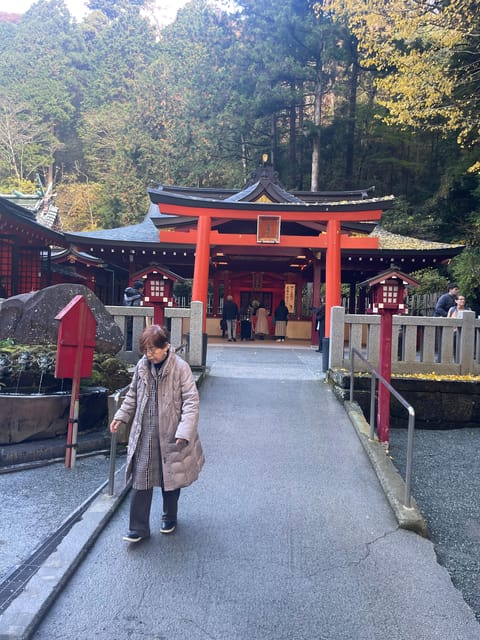 From Tokyo: Hakone Full Day Customizable Private Tour - The value of a private car for up to 5 people