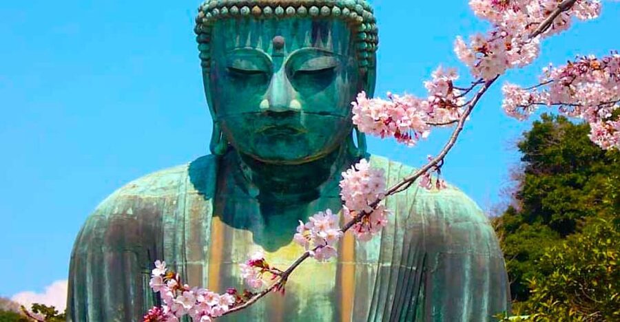 From Tokyo: Kamakura and Enoshima Full-Day Private Trip - From Tokyo pickup to the first temples: timing you should expect