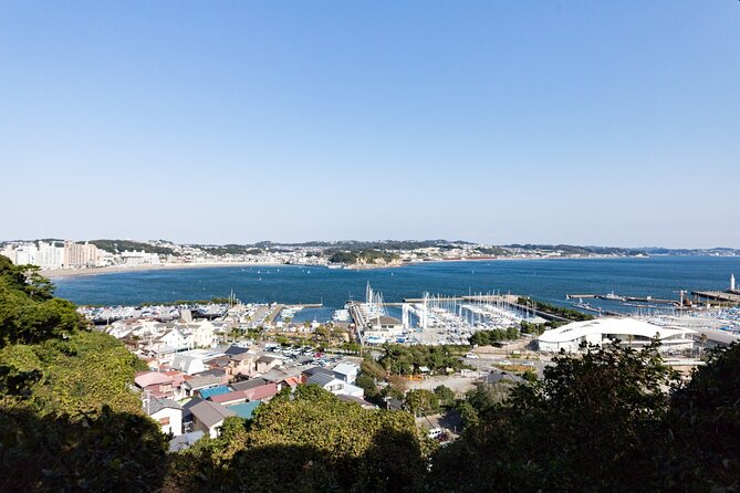From Tokyo: Kamakura & Enoshima 1-Day Bus Tour - Price and value: $66.05 for a day with entrances handled