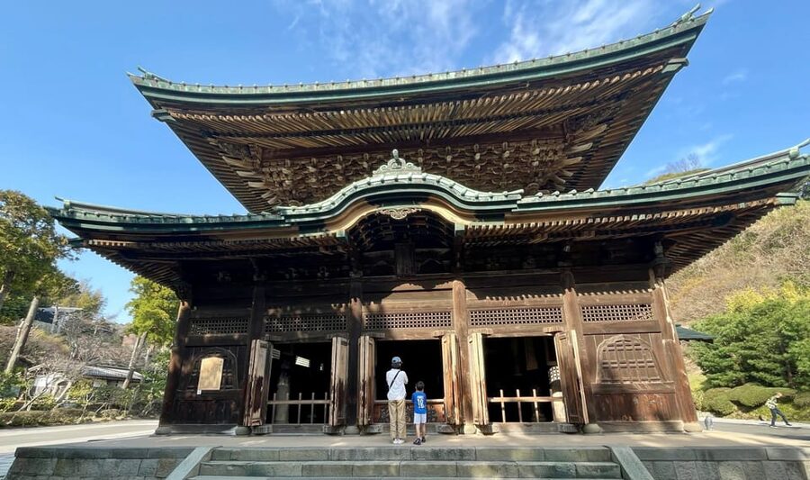 From Tokyo: Kamakura Full Day Tour with a Local Expert Guide - Tsurugaoka Hachimangu Shrine: A Shrine Walk You Can Actually Appreciate