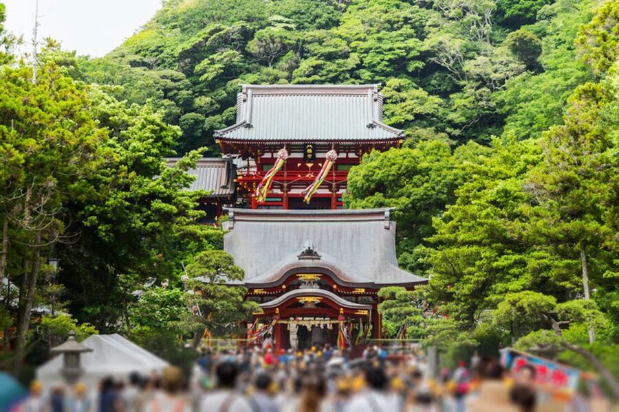 From Tokyo: Kamakura Private Customize Tour by Luxury Van - The Mount Fuji Possibility: How to Think About Clear-Day Views