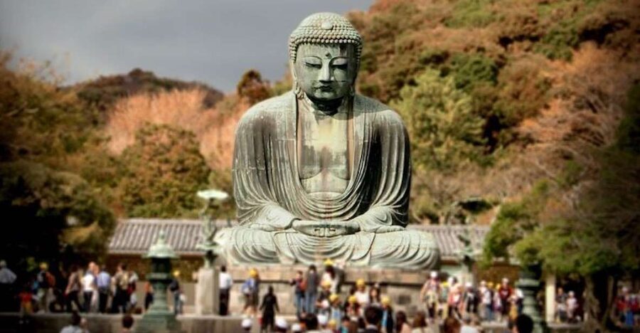 From Tokyo: Kamakura Private Customize Tour by Luxury Van - Entering Kamakura’s Sacred Core: Hachiman Shrine and Komachi Street