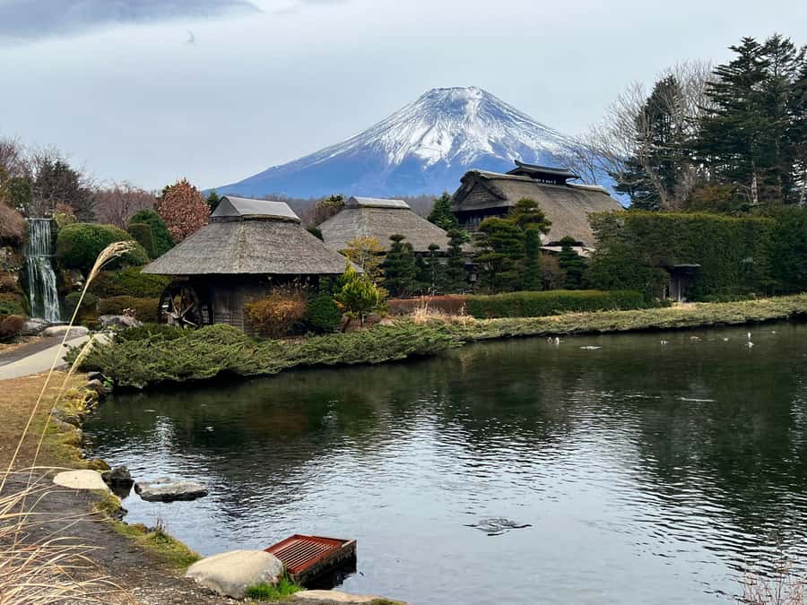 From Tokyo: Mount Fuji and Hakone Private Day Trip - Key highlights at a glance