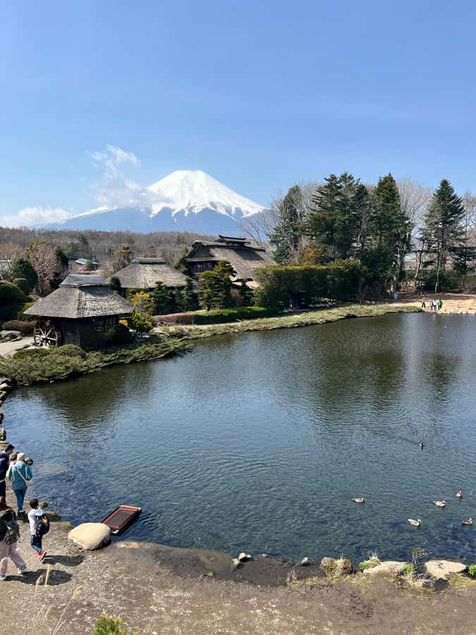 From Tokyo: Mount Fuji and Hakone Private Day Trip - Practical tips that make a difference on Fuji visibility and photos