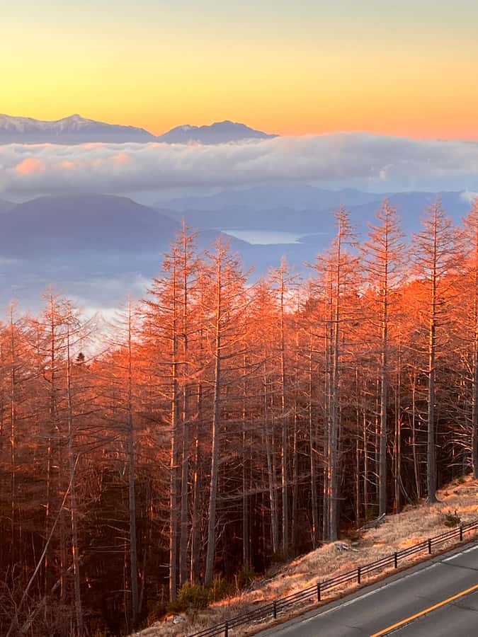 From Tokyo: Mount Fuji and Hakone Private Day Trip - Why this Fuji-and-Hakone day trip feels smarter than doing it separately