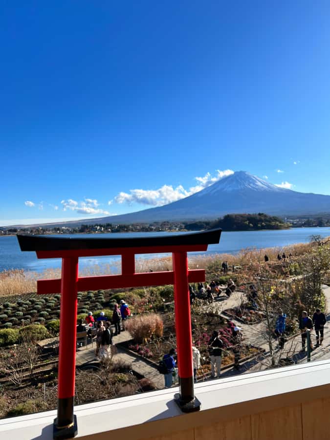 From Tokyo: Mount Fuji and Hakone Private Day Trip - Oshino Hakkai: eight ponds, easy walking, and that iconic snowmelt vibe