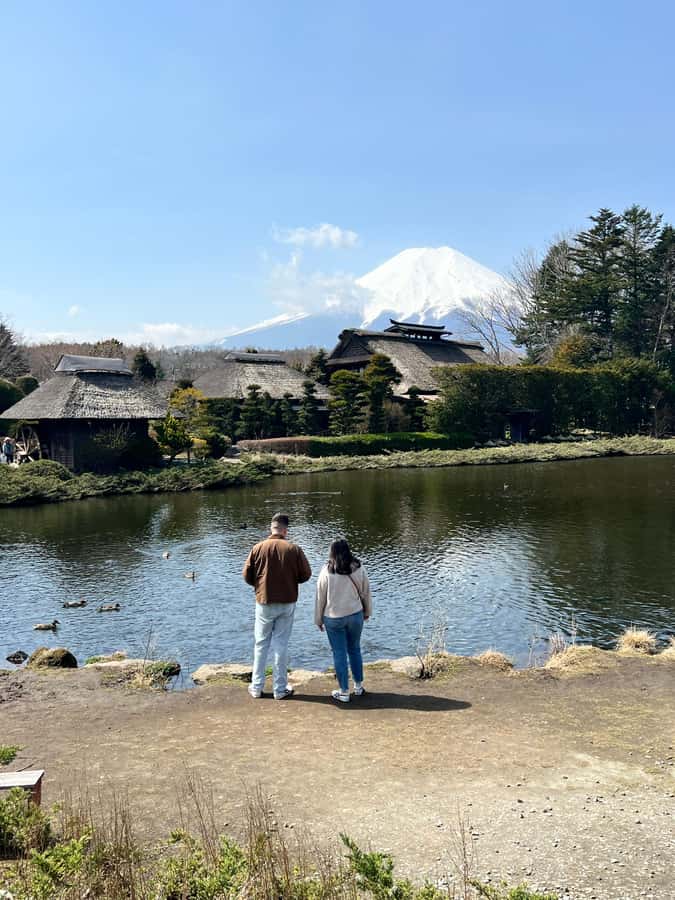 From Tokyo: Mount Fuji and Hakone Private Day Trip - Lake Ashi and the ropeway/cable car options: how to get the best views of Fuji