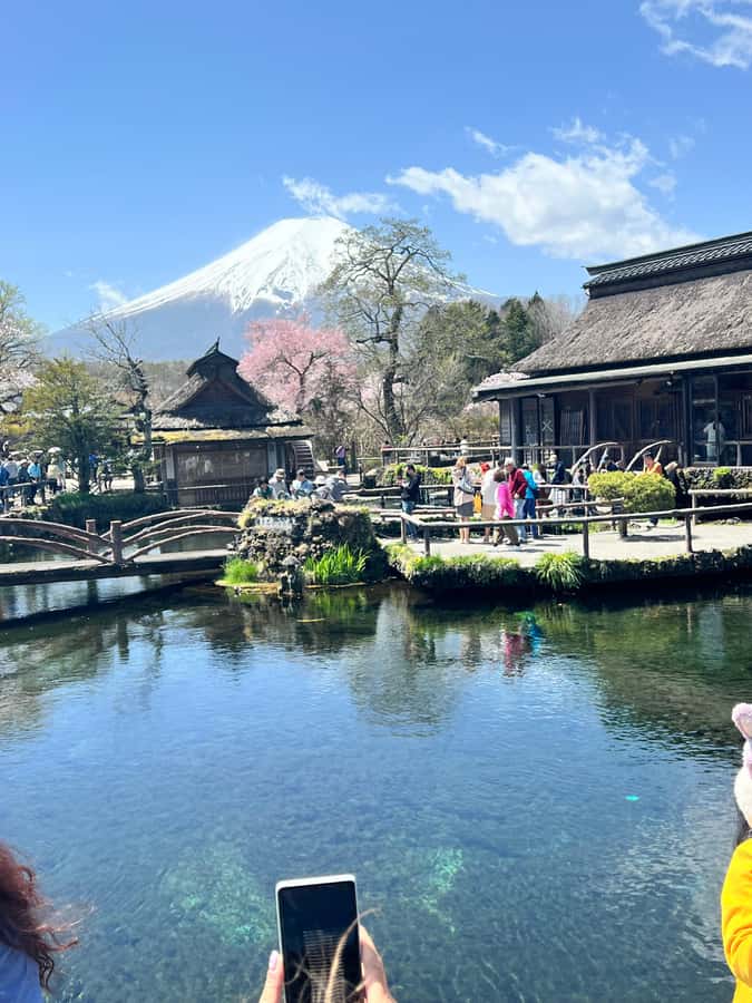From Tokyo: Mount Fuji and Hakone Private Day Trip - Who should book this private tour, and who should skip it