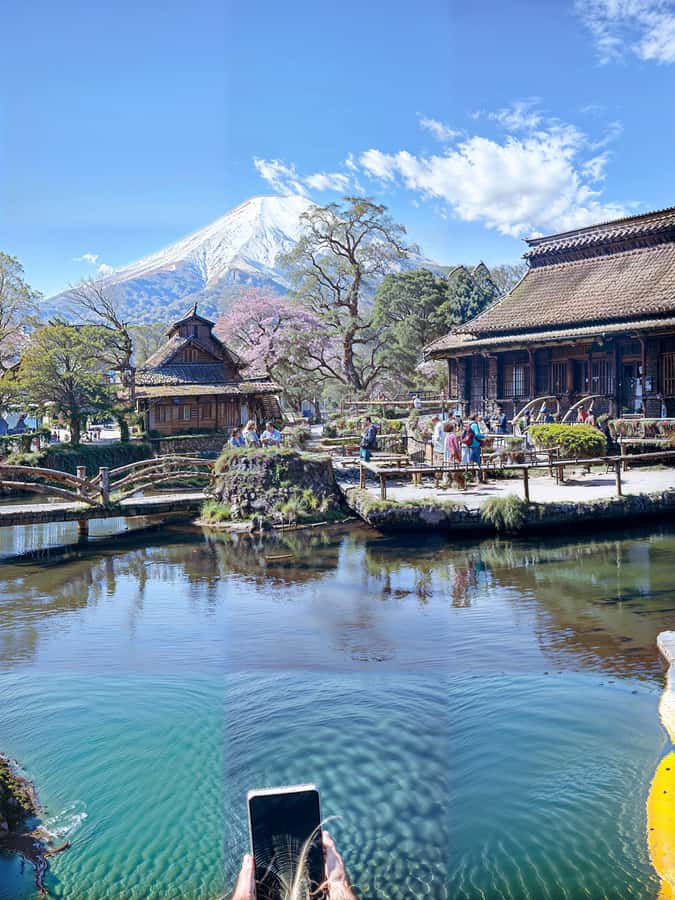 From Tokyo: Mount Fuji and Hakone Private Day Trip - Getting out of Tokyo and into Fuji country: first stops and what makes them worth it