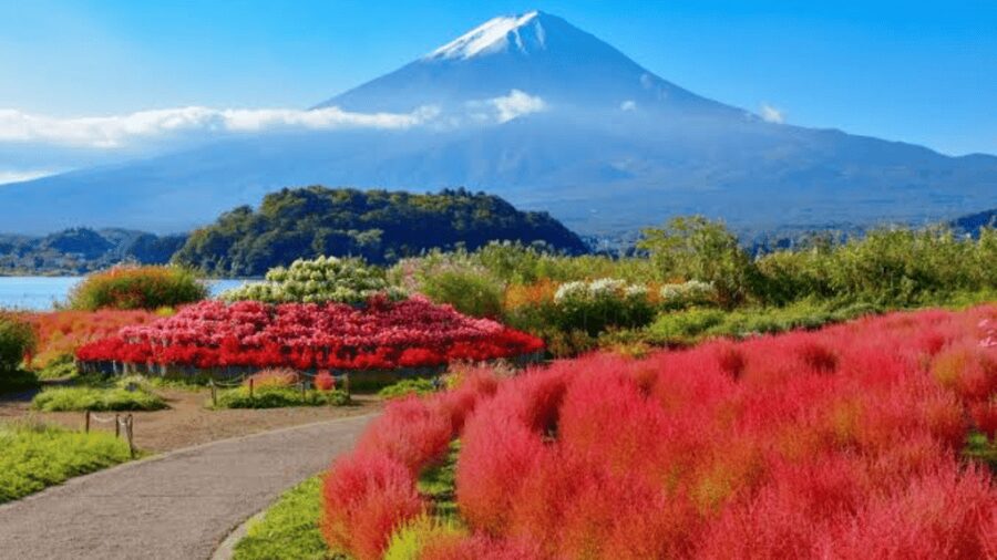 From Tokyo: Mount Fuji And Hakone Private Full Day Trip - FAQ