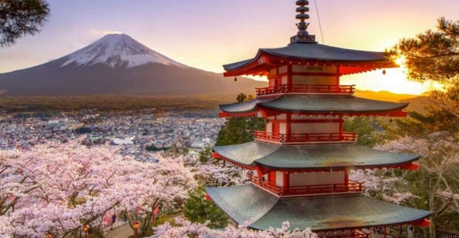 From Tokyo: Mount Fuji And Hakone Private Full Day Trip - How the private minivan experience feels in real life