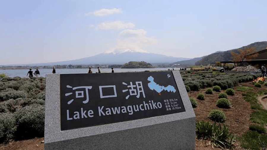 From Tokyo: Mount Fuji And Hakone Private Full Day Trip - Weather, timing, and why guides like Hassan and Umair matter