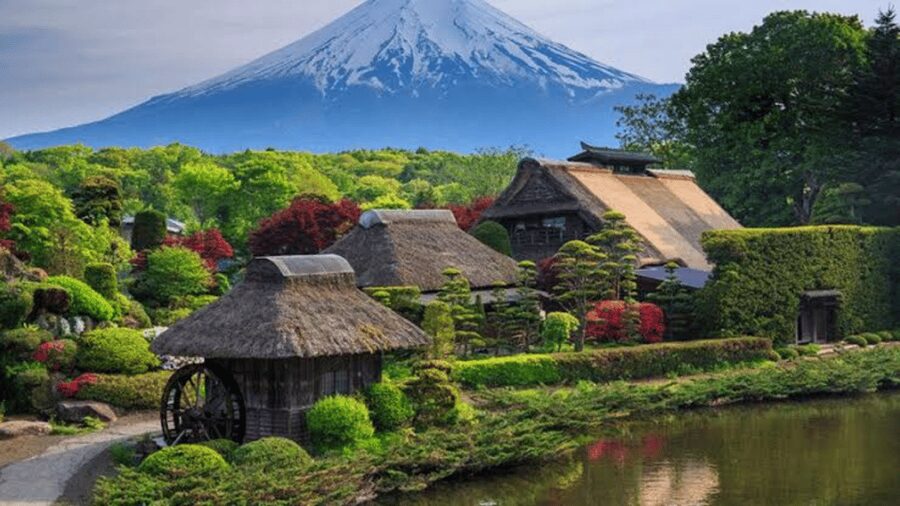 From Tokyo: Mount Fuji And Hakone Private Full Day Trip - What’s included, what you must budget, and what to bring