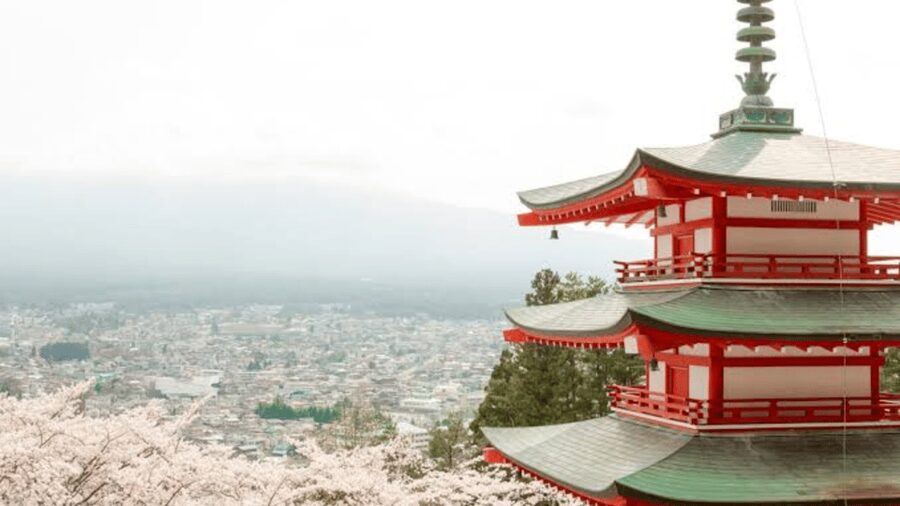 From Tokyo: Mount Fuji And Hakone Private Full Day Trip - When this trip is a great fit (and when it isn’t)