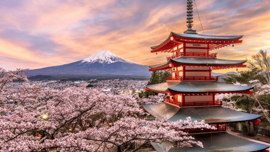 From Tokyo: Mount Fuji And Hakone Private Full Day Trip - Bottom line: should you book this Mount Fuji and Hakone private day trip?